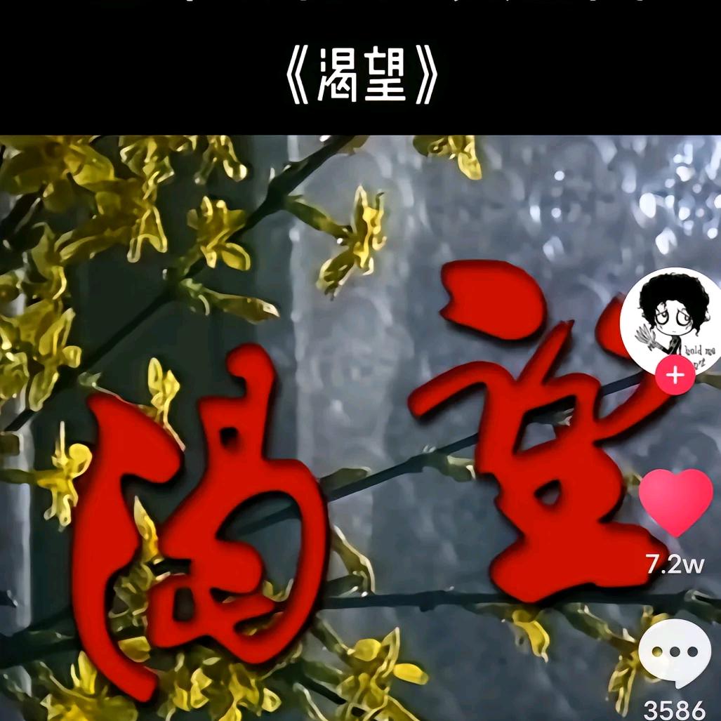 心灵清泉