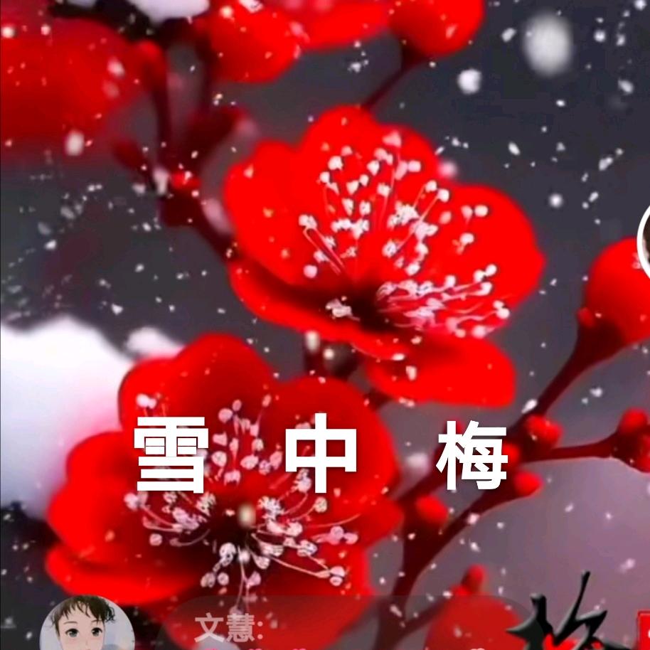 桦