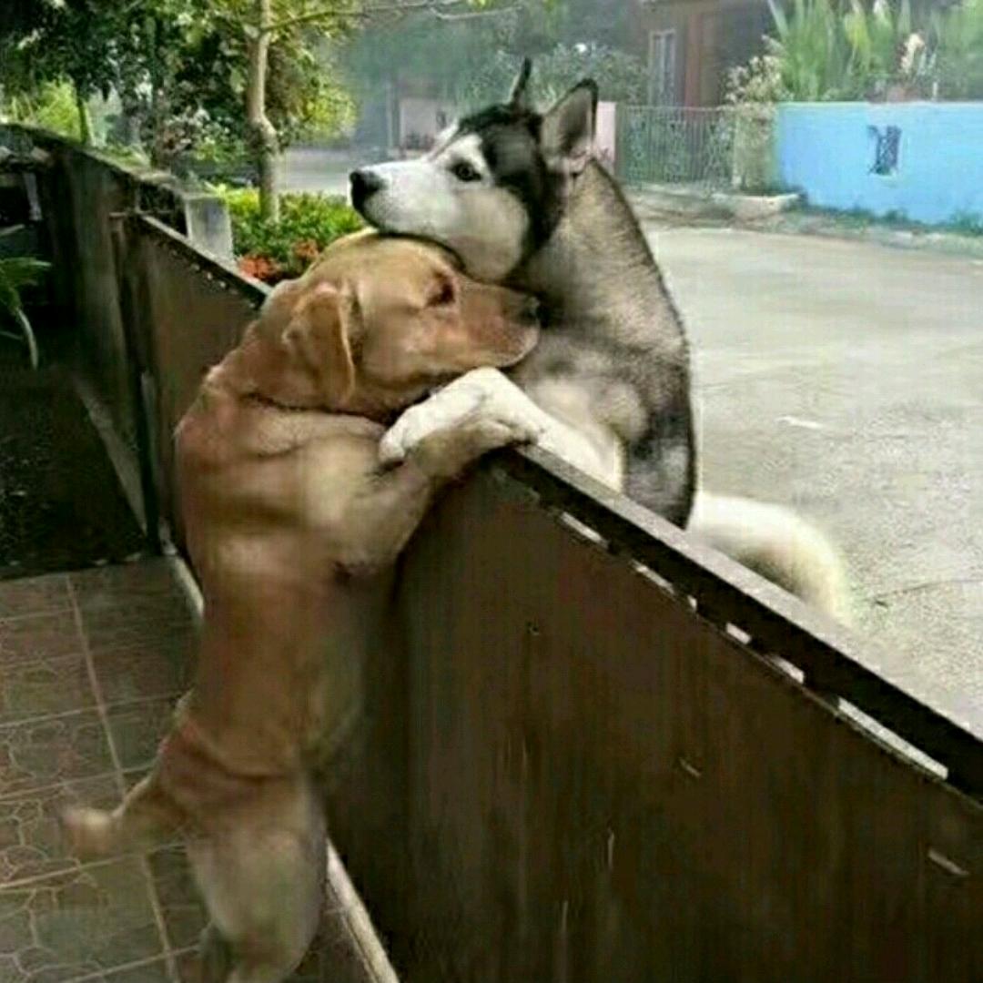 透你的小饼干🍪