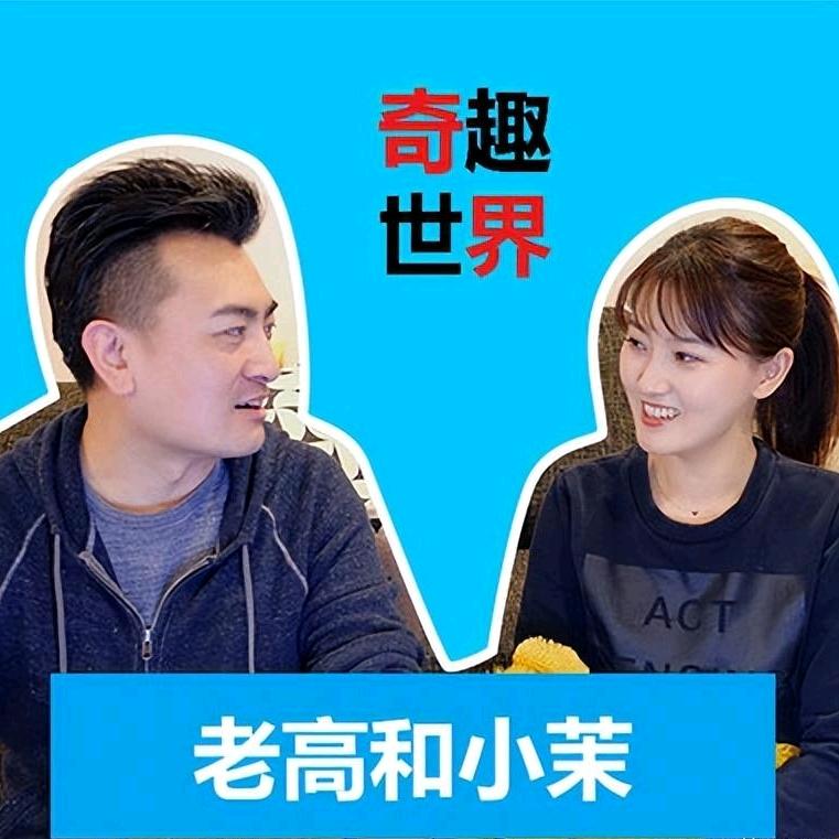 老高与小茉视频分享