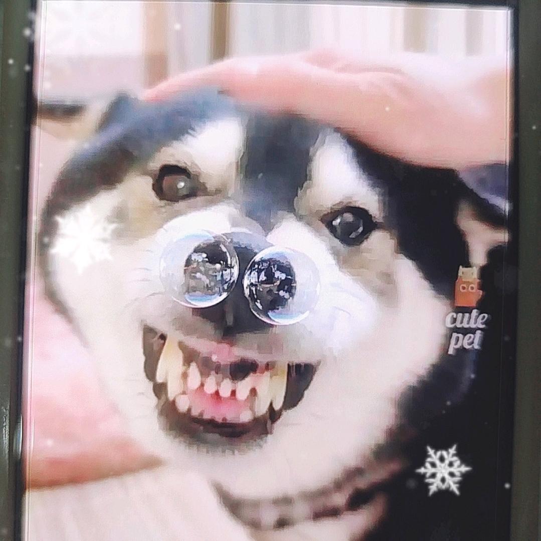 拉屎畅通大王