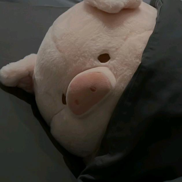 小张同学，