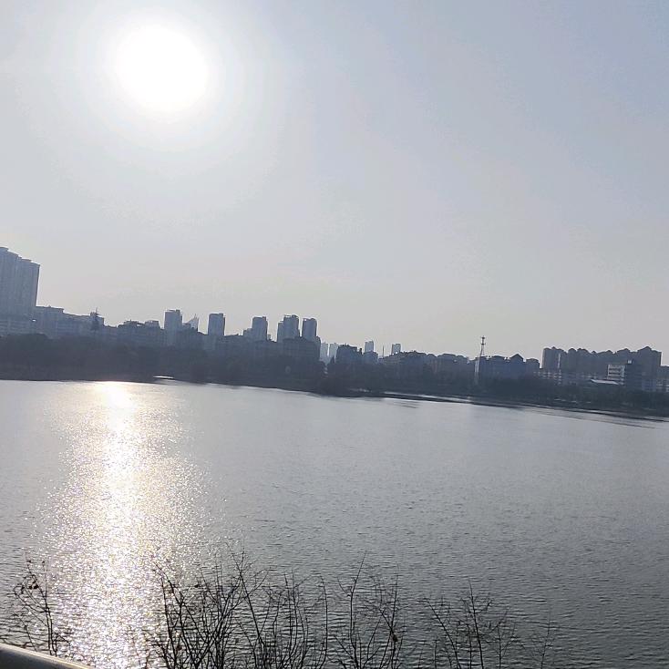 。。。。。。。