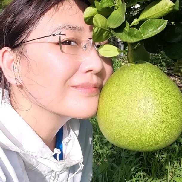 西双版纳云达商贸有限公司