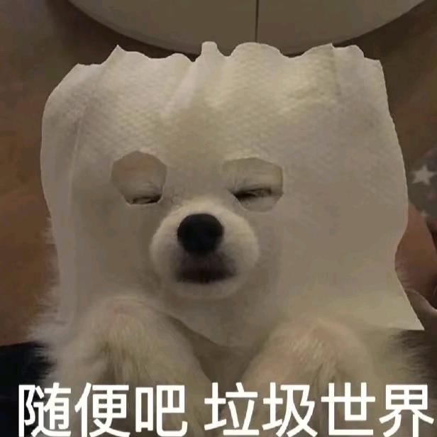小叮当喵