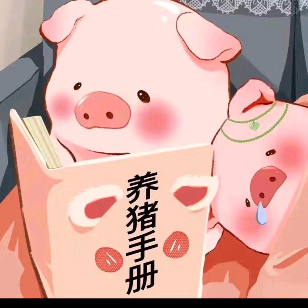 小宋同学论文写了吗