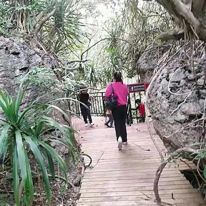 玉姐