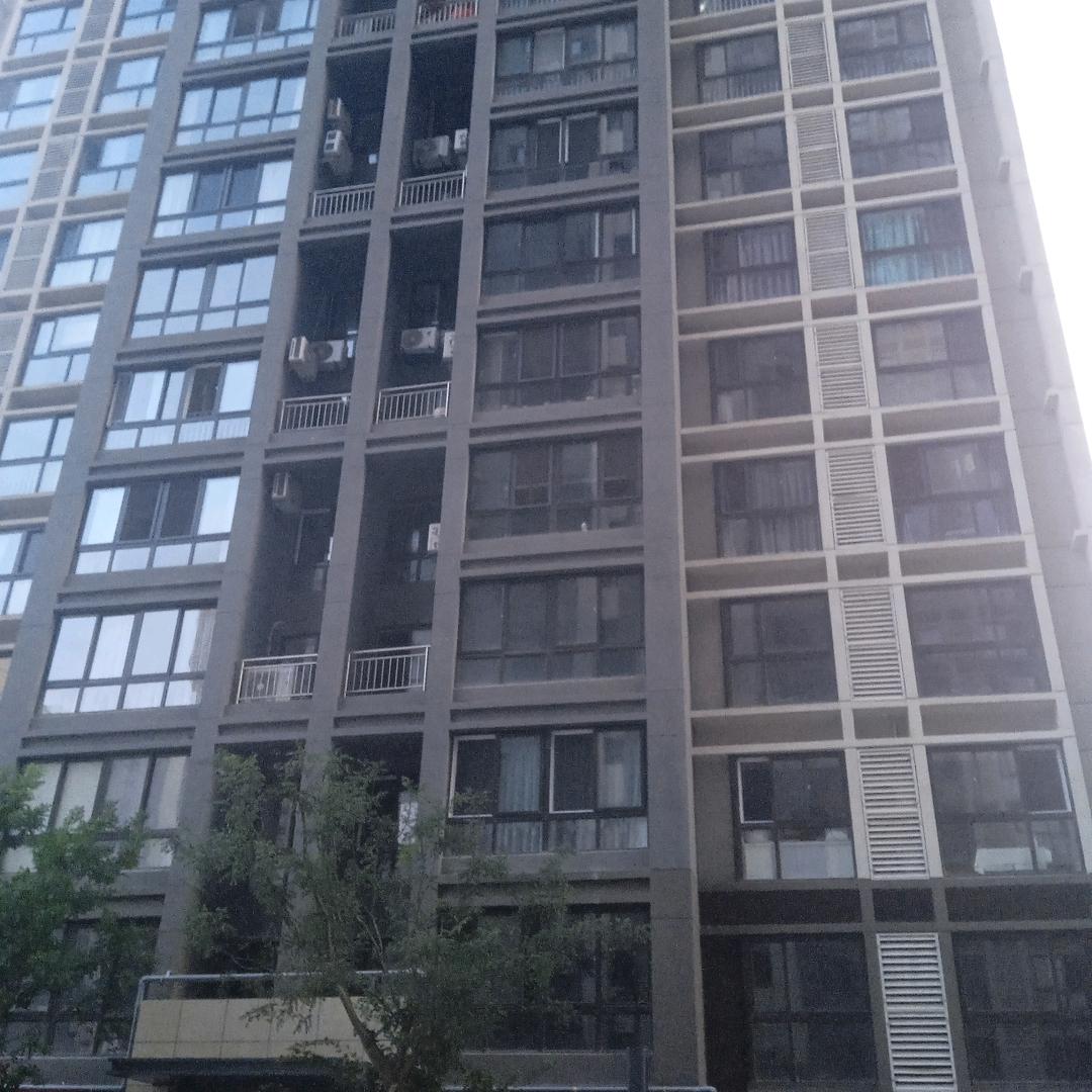 老李玩抖音61