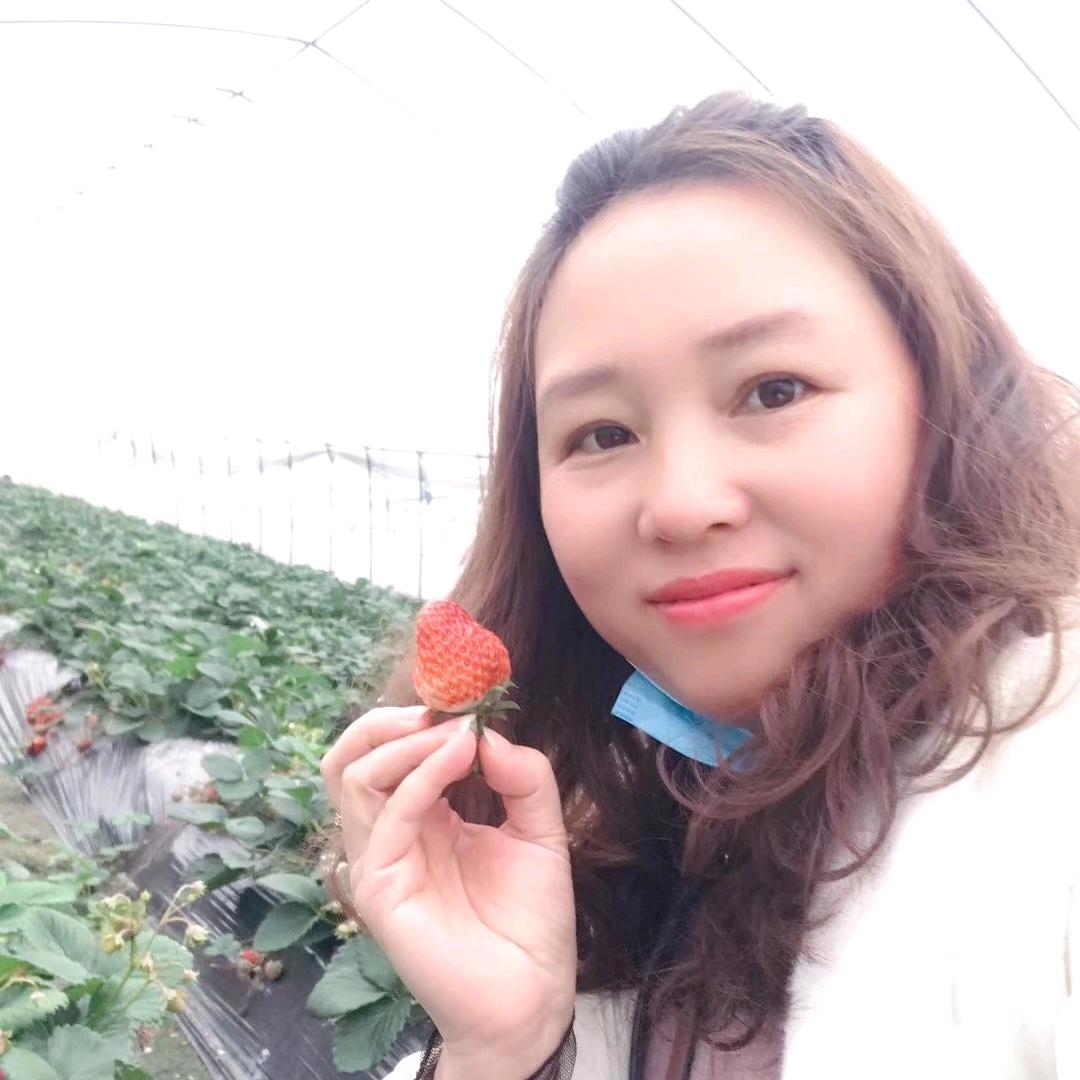 小岚子