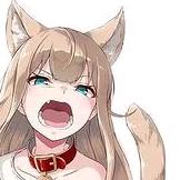 青雾果冻~