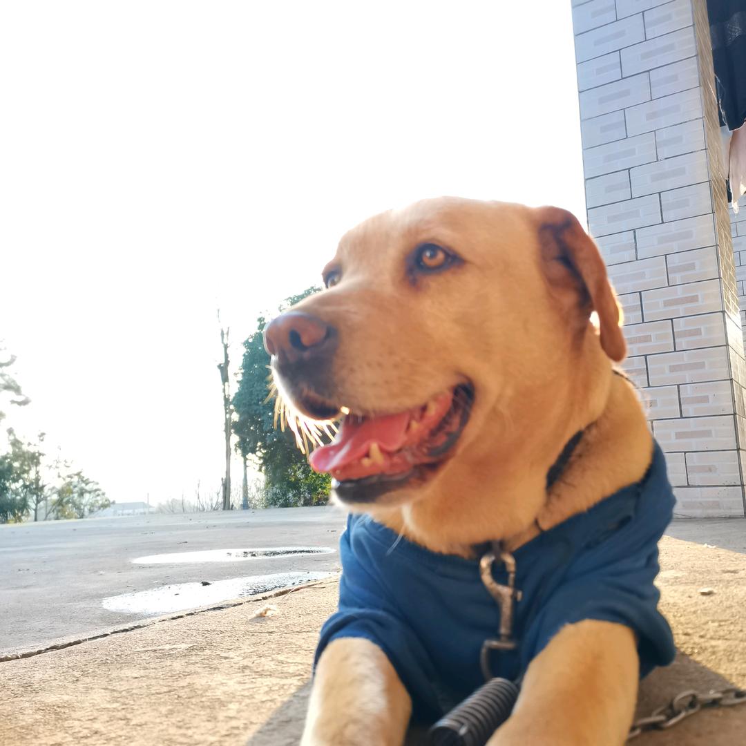 可可欧～