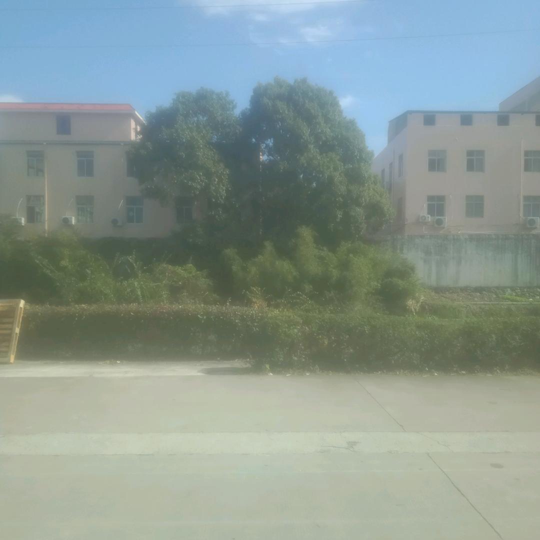 ~周永生