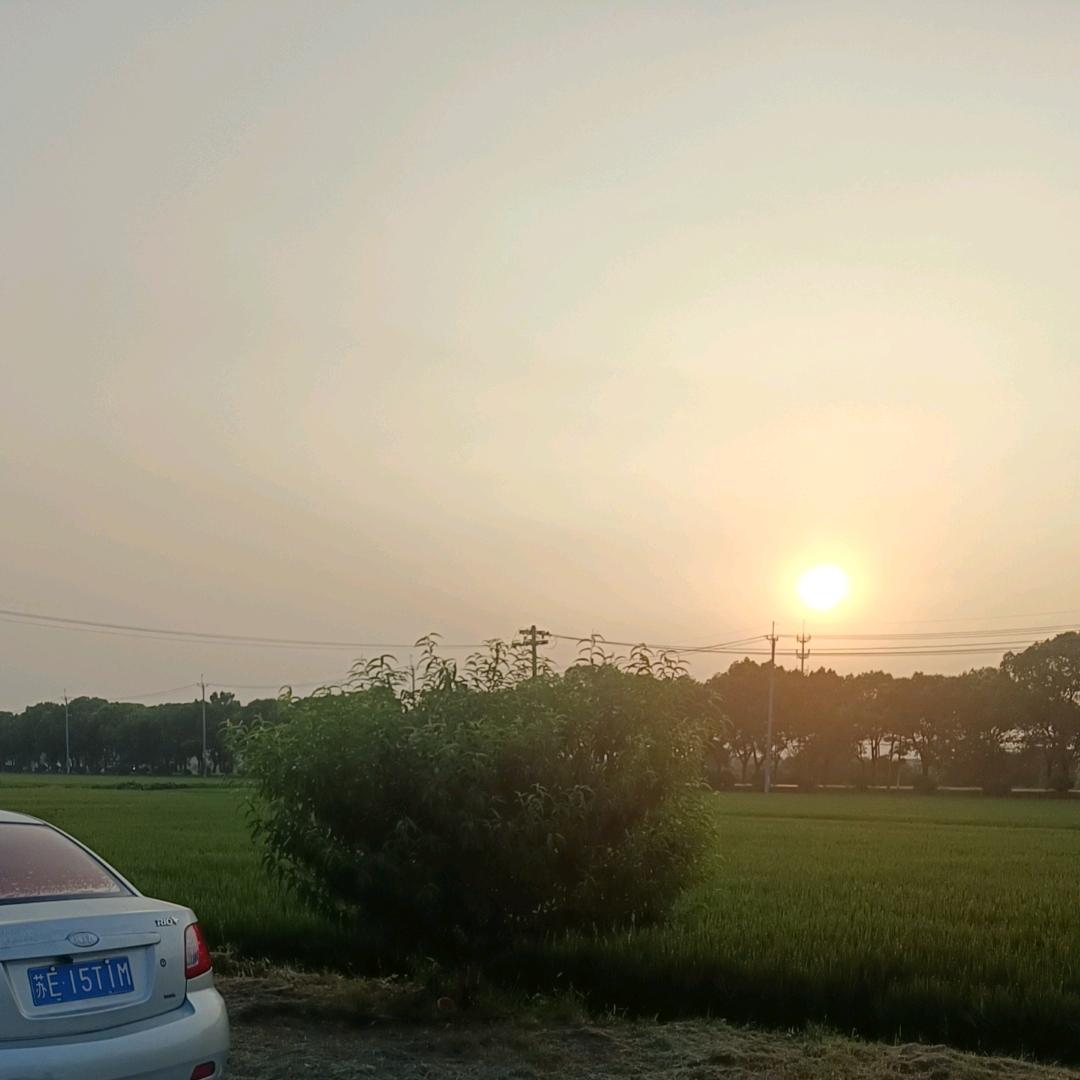大惠东