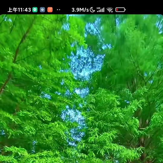 青山依旧