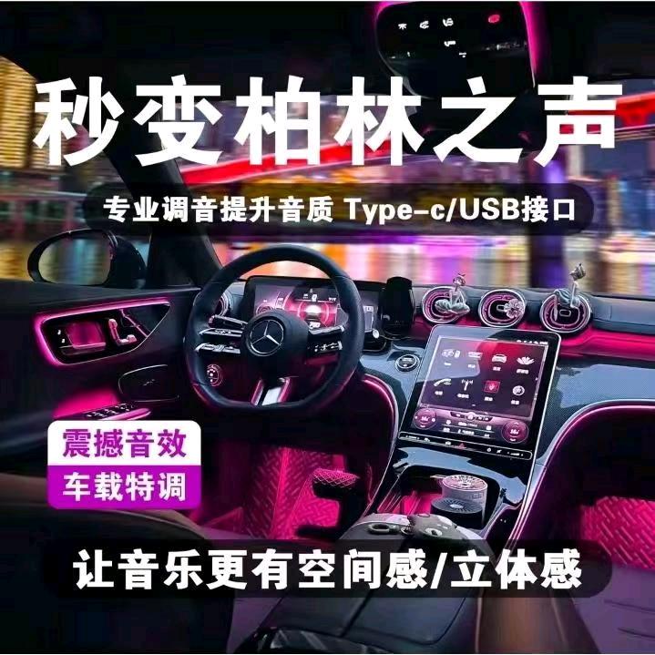 🔥柏林之声  车载优盘