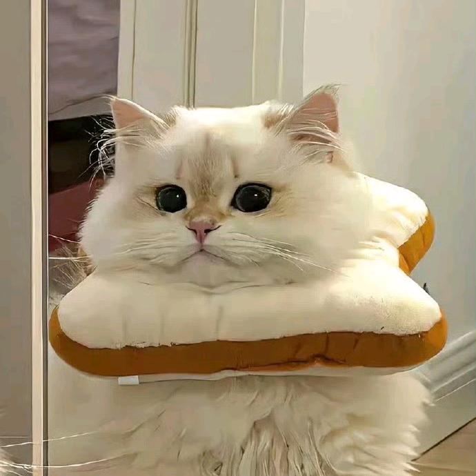 ○○
