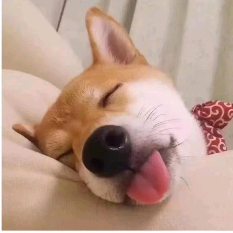涪林居