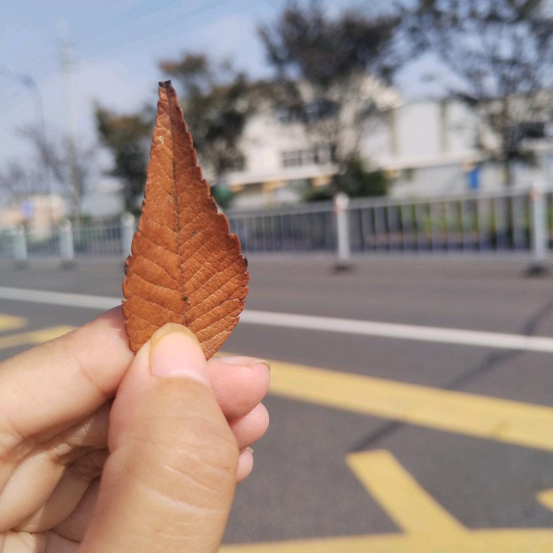 星星点灯🙂🤩🤩🤩🧐