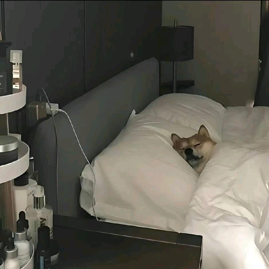 -碳酸-
