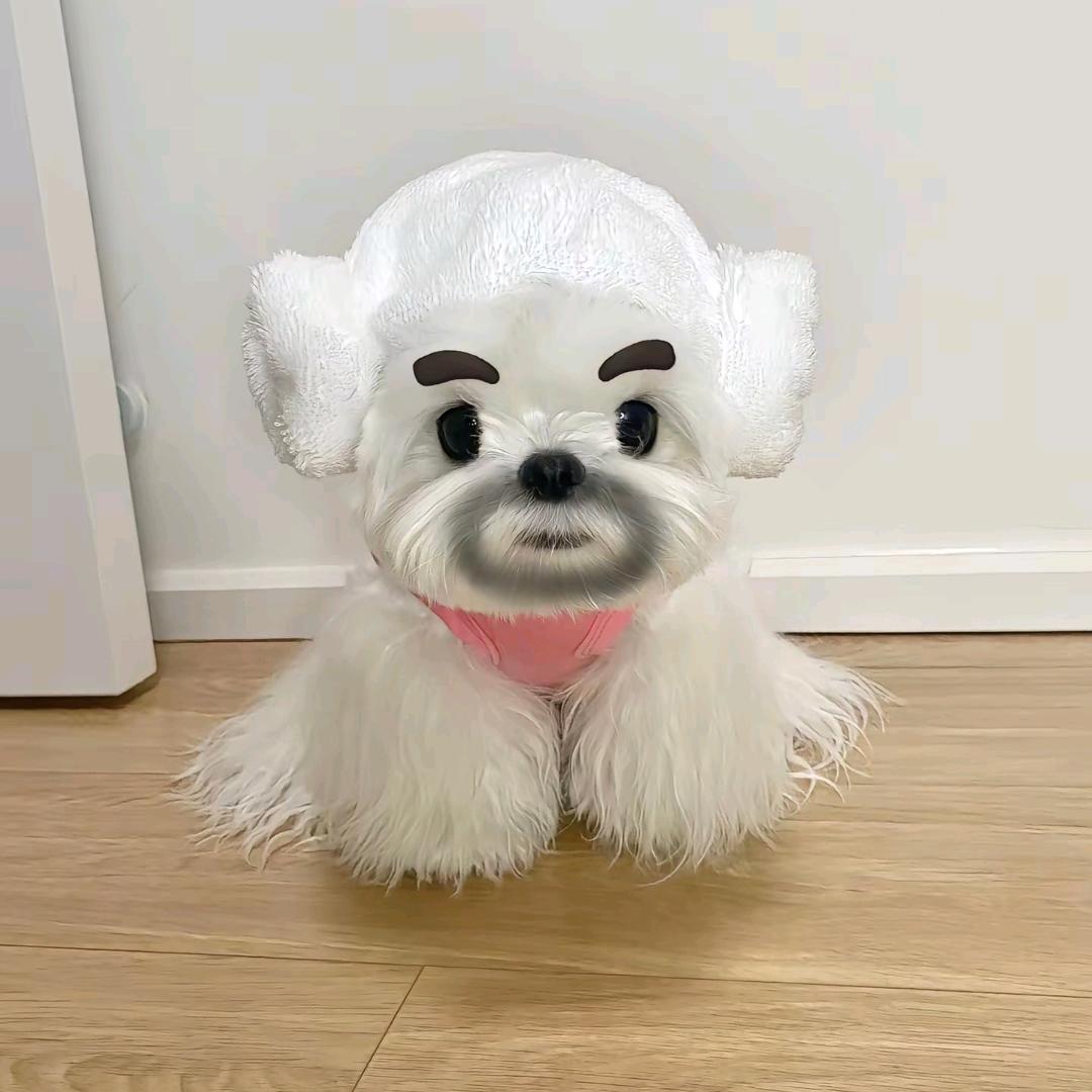 七