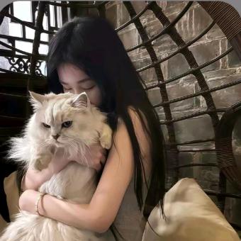 染纸