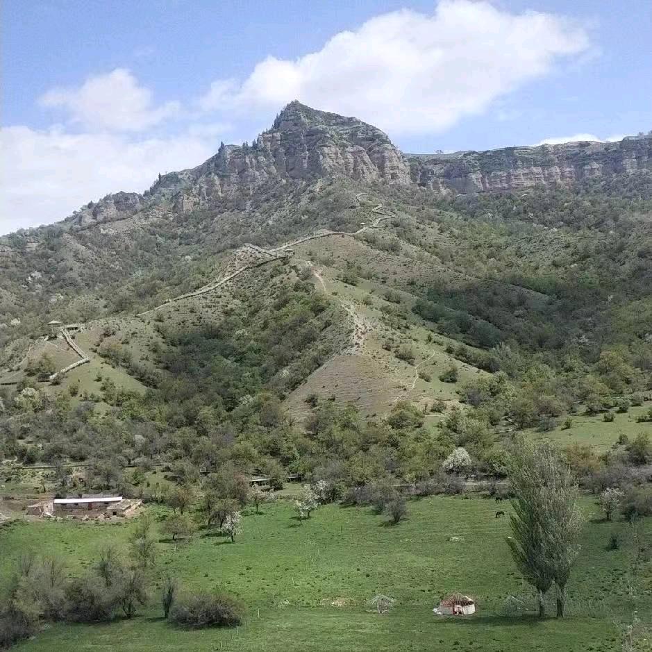 《陪伴。不勉强》