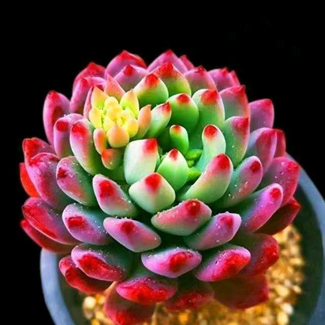 時間換金錢💰💰💰