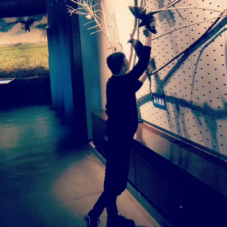 🚬ཀོ浪客 /随心ꦿ҉࿐