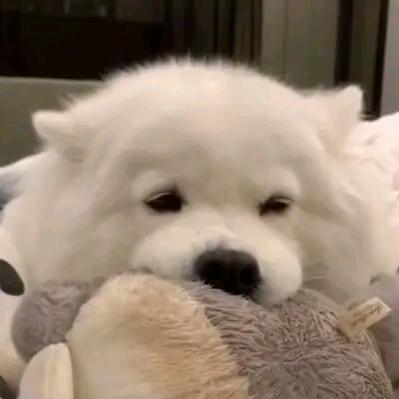 一条住在深海的鱼