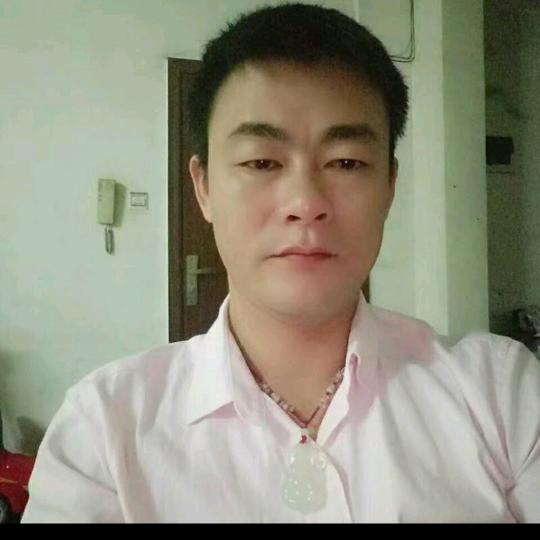陈晨H