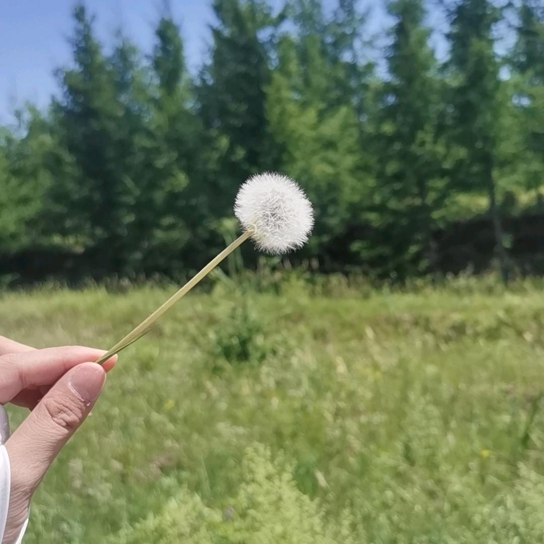 一场游戏