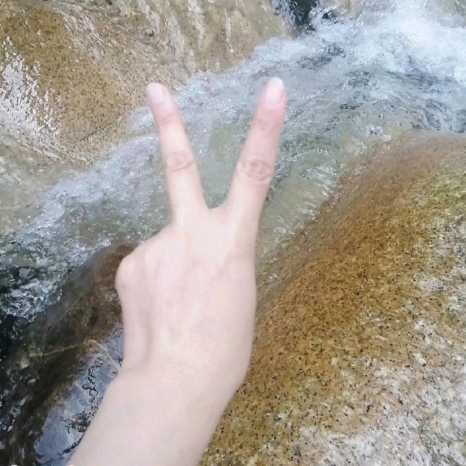 淡念