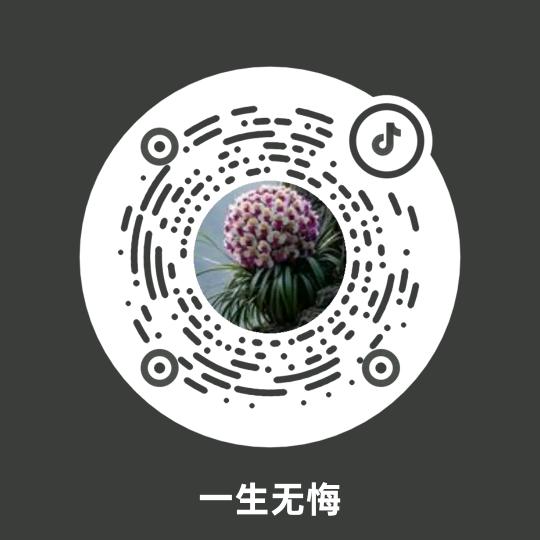 一生无悔