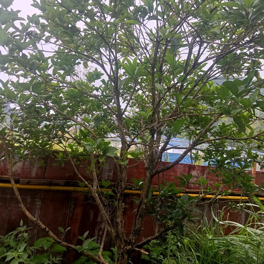 余生有你，留余生