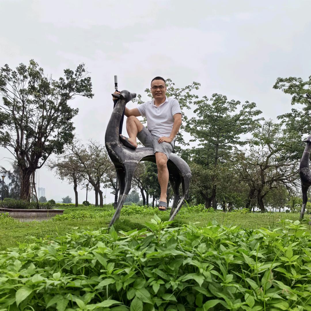 时光匆匆那年