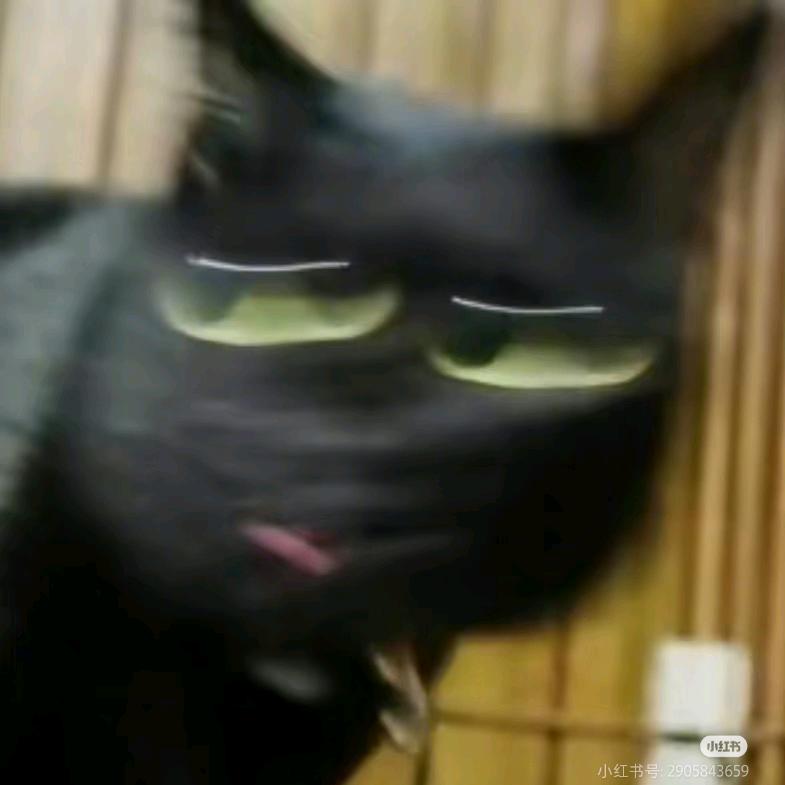 h.
