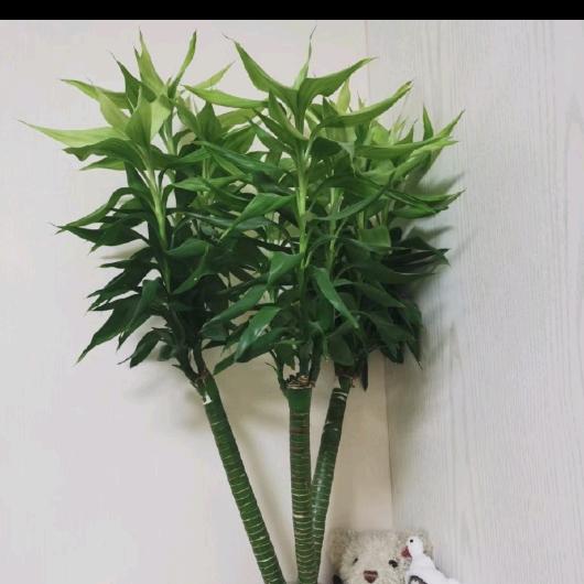 都想避风谁当港