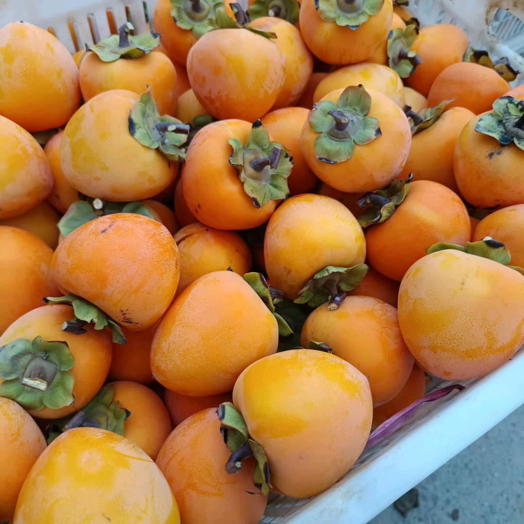 - 流心爆浆柿饼屋