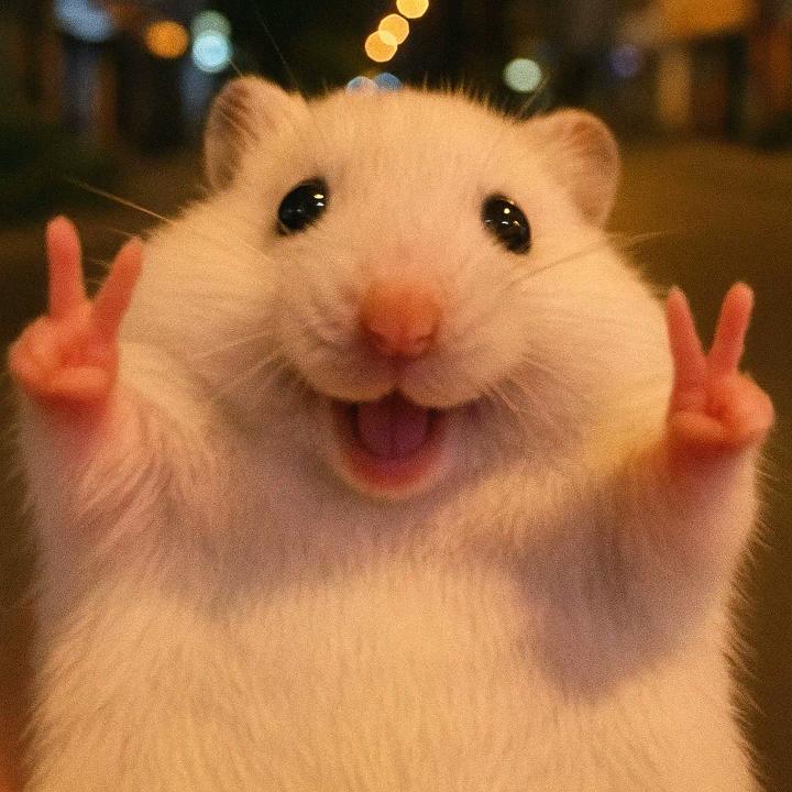 香草坏蛋冰淇淋🍨