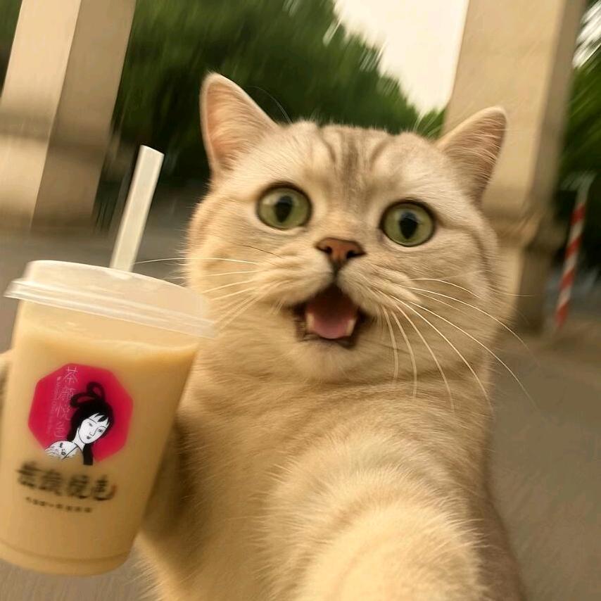 来杯奶茶吧