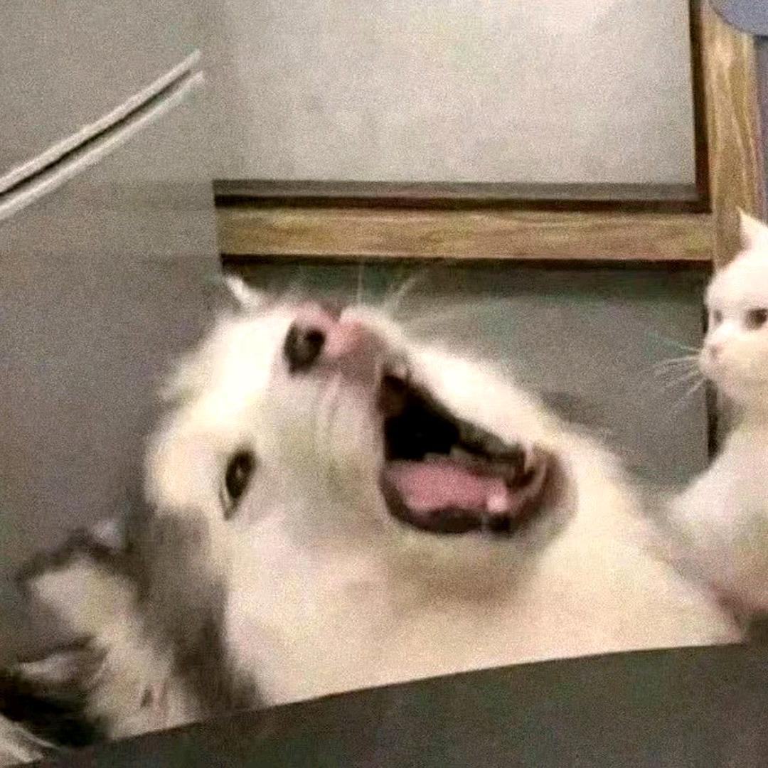 买梦
