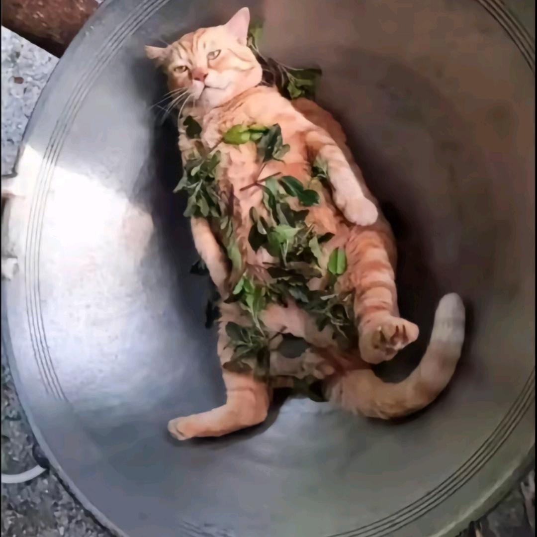 堡亿条