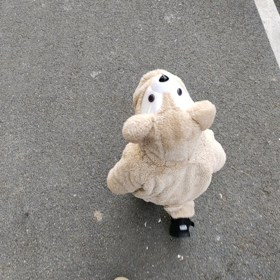 平台供应商(大量收购红壳，粉壳洋鸡蛋)