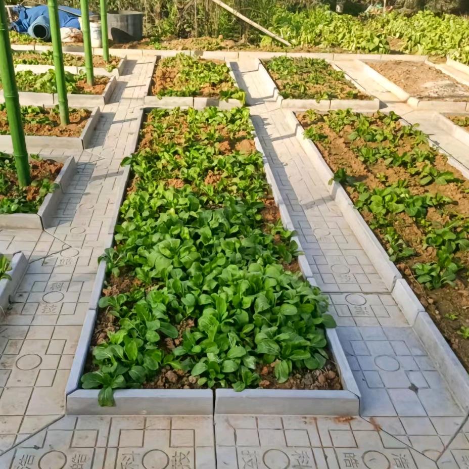 菜沟板严选工厂店