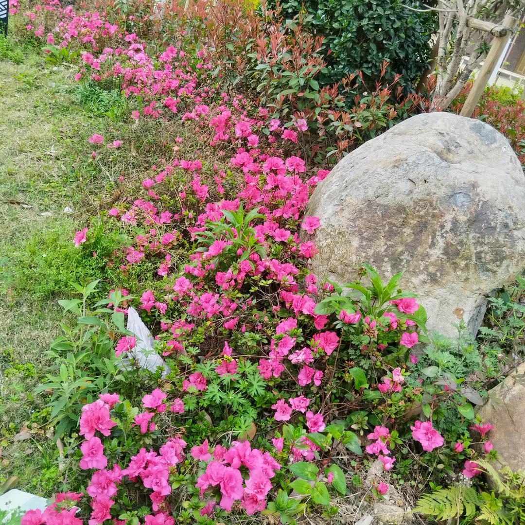 两个宝贝的奶奶。