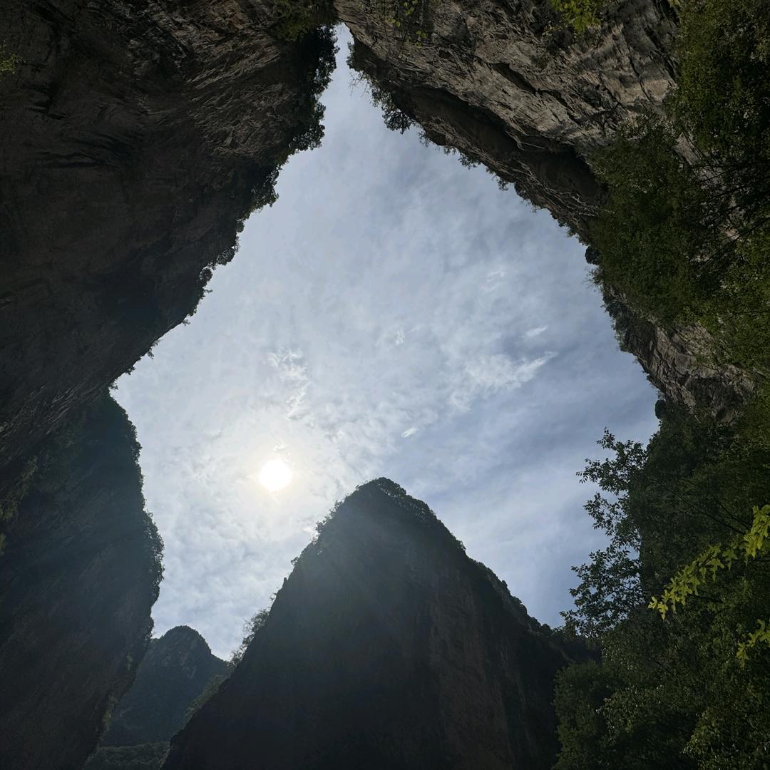 没名字