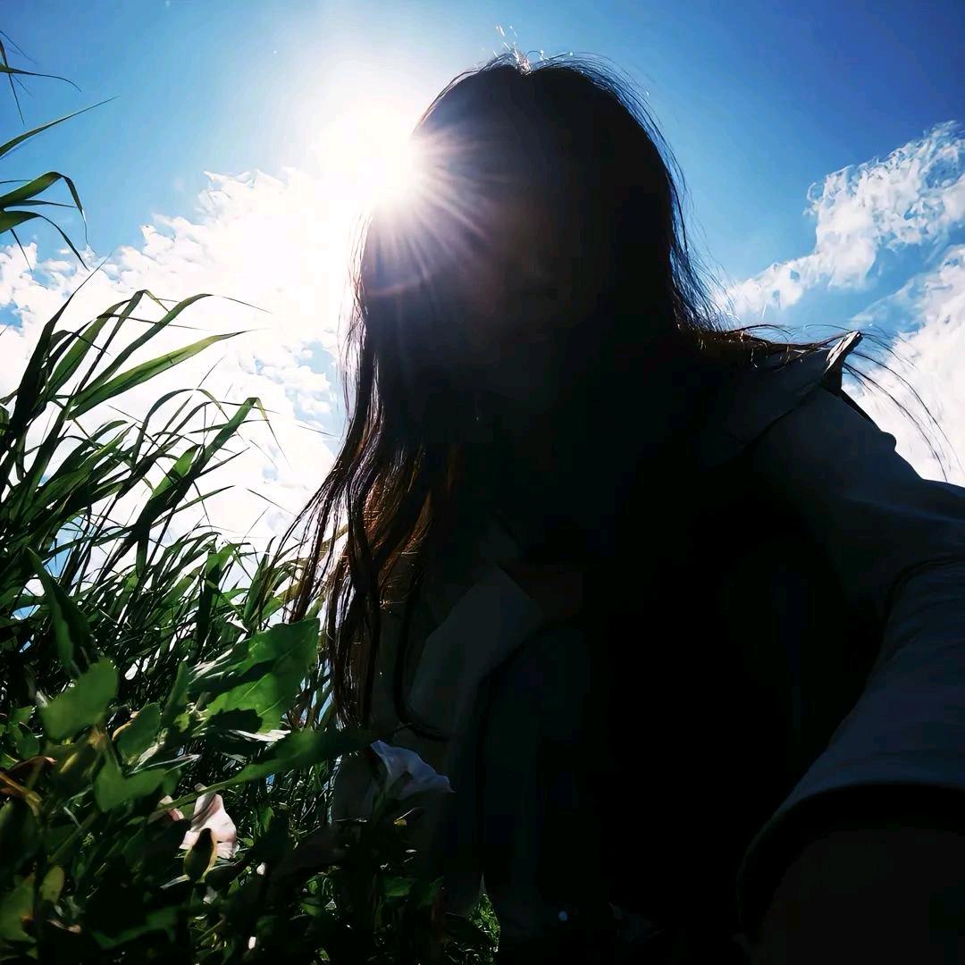 早春不过一颗树