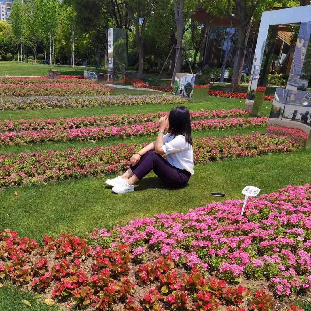 苍术，升麻，白鲜皮，小乔