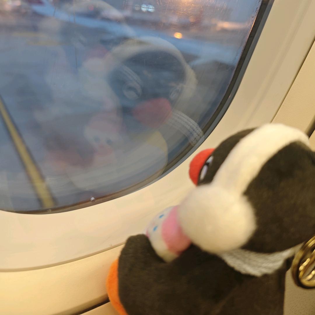 小炒左左