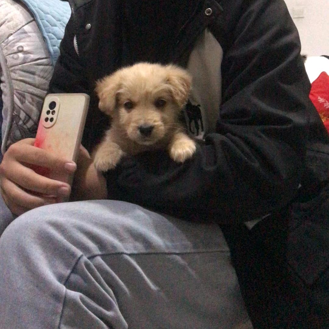 回消息真烦